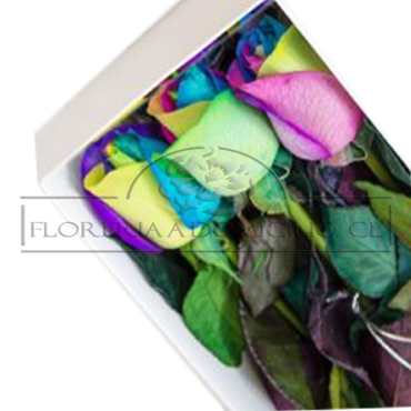 03 Rosas Arco�ris en Caja