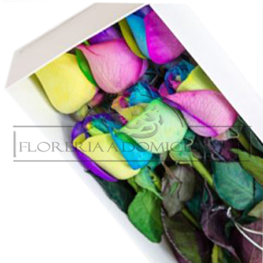 Caja de 06 Rosas Arco�ris