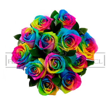 Ramo de 12 Rosas Arcoris