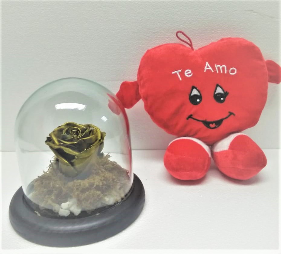 Rosa Preservada en C�pula y Peluche Coraz�n